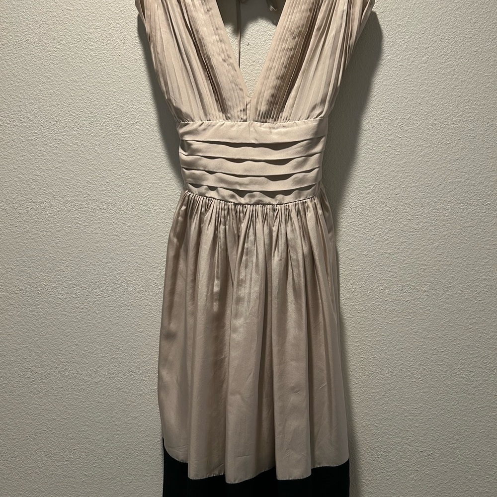 BCBGMaxAzria Cream and Black Midi Dress